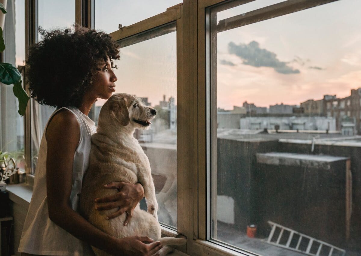 Nova Lei de Pets em Condomínios