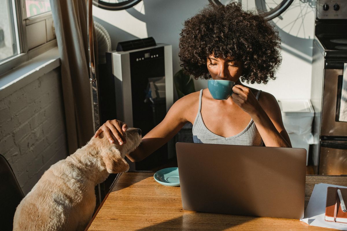 Livros que todo amante de cachorros vai amar