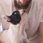 Animais de estimação na reabilitação