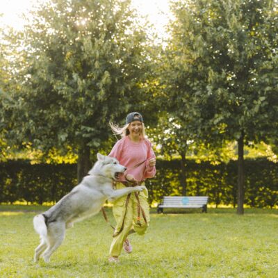 Curso de adestrador de cães