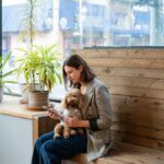 escritório de contabilidade para pet shop