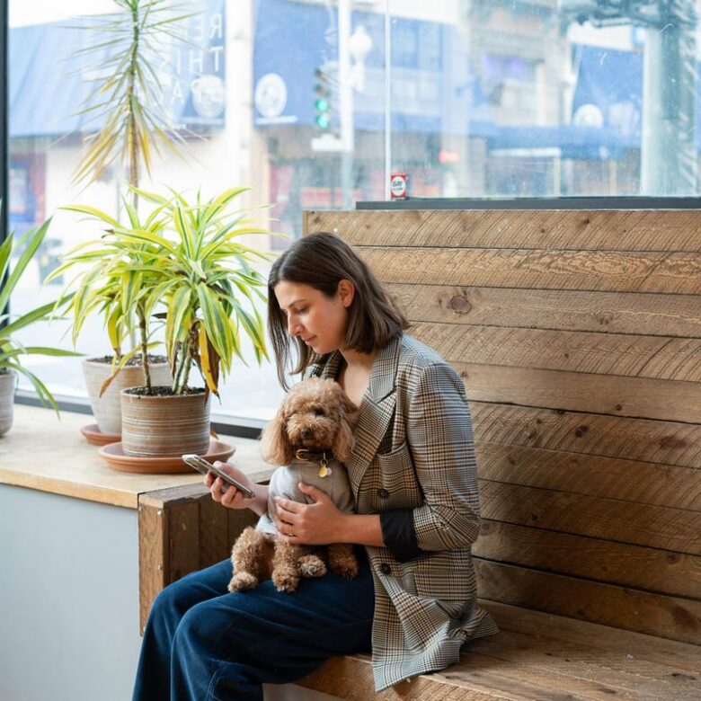 escritório de contabilidade para pet shop
