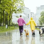 Passeios em dias nublados