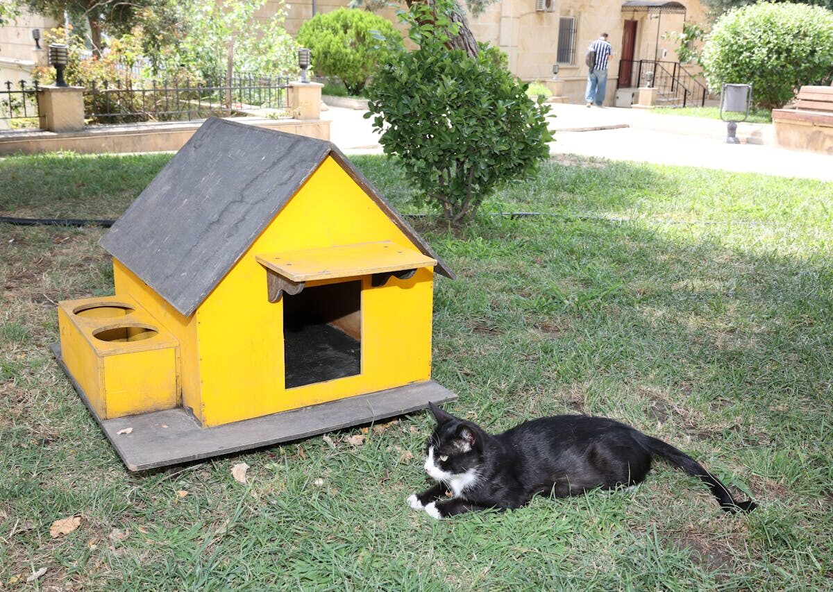 Casa pet confortável