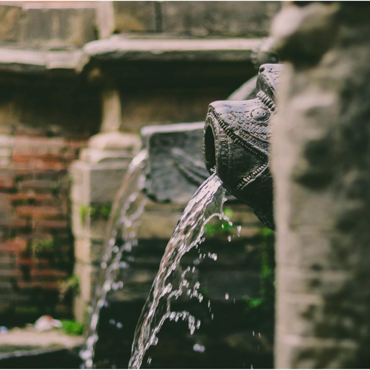 Para garantir a saúde dos gatos, a água corrente é essencial porque estimula a hidratação, fundamental para o bom funcionamen