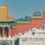 Para proteger seu pet de riscos à saúde, jamais ofereça alimentos como chocolate, uva, cebola, alho, abacate e álcool. Esses