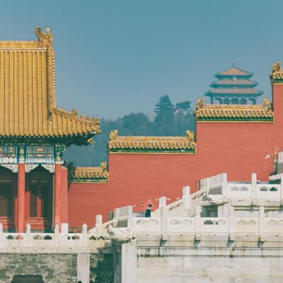 Para proteger seu pet de riscos à saúde, jamais ofereça alimentos como chocolate, uva, cebola, alho, abacate e álcool. Esses