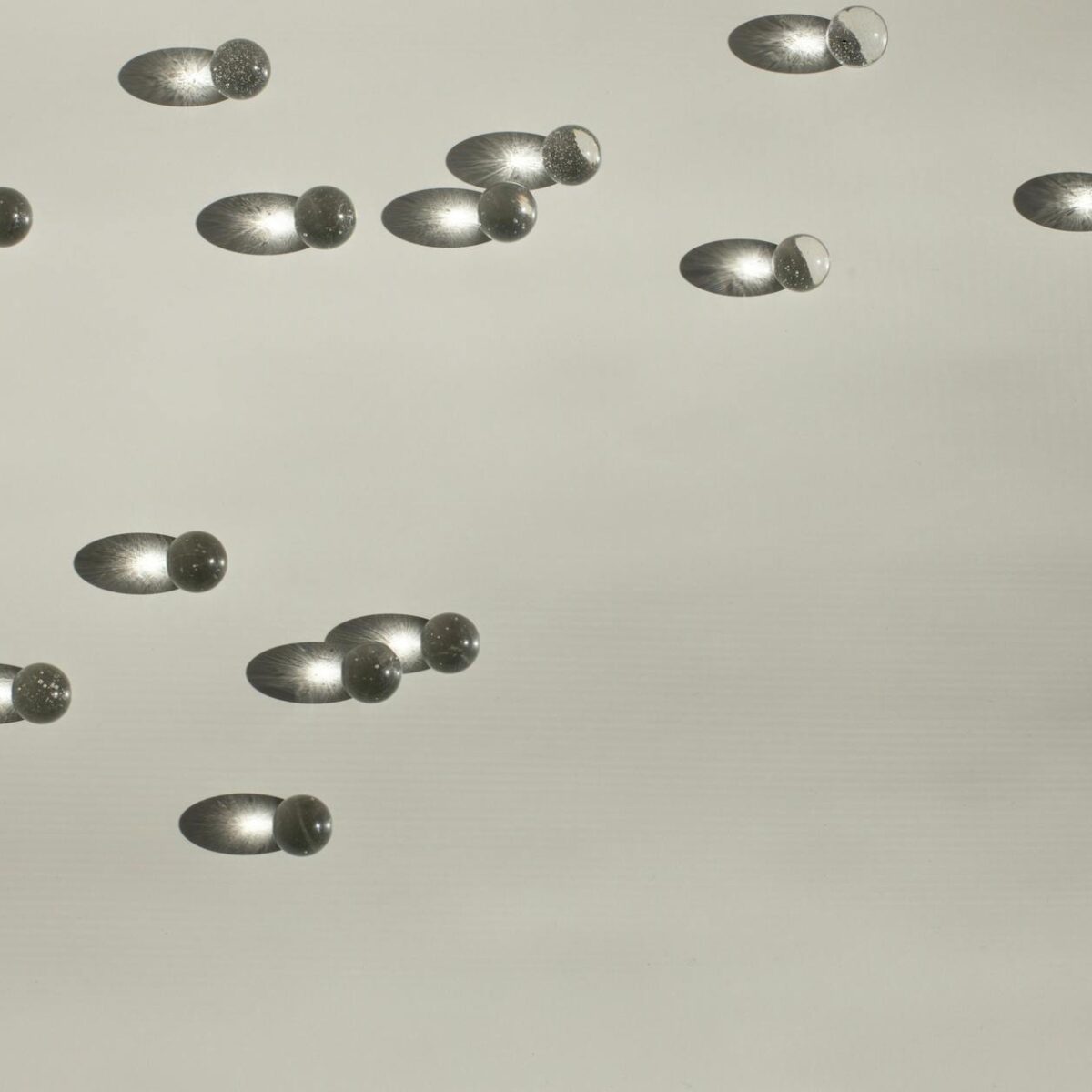 Para prevenir o câncer de mama em cadelas, a castração precoce é a estratégia mais recomendada por veterinários. Este procedi