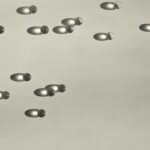 Para prevenir o câncer de mama em cadelas, a castração precoce é a estratégia mais recomendada por veterinários. Este procedi