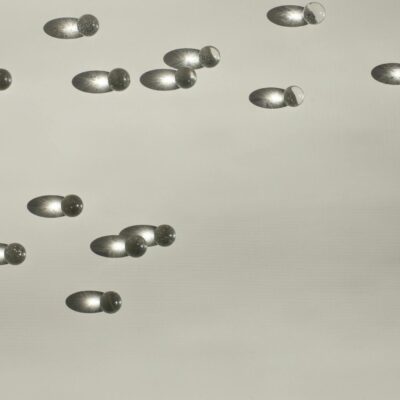 Para prevenir o câncer de mama em cadelas, a castração precoce é a estratégia mais recomendada por veterinários. Este procedi