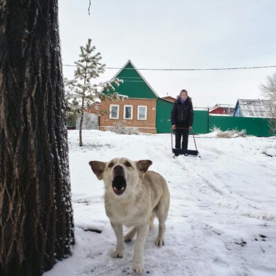 Para entender os latidos excessivos do seu cão, é crucial observar o contexto e o tipo de latido. Eles podem indicar tédio, a