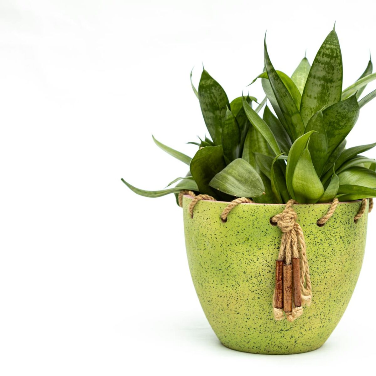 Para melhorar a Qualidade do Ar Interno e ajudar pets com alergias na pele, filtros de ar removem alérgenos como pólen, poeir