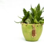 Para melhorar a Qualidade do Ar Interno e ajudar pets com alergias na pele, filtros de ar removem alérgenos como pólen, poeir