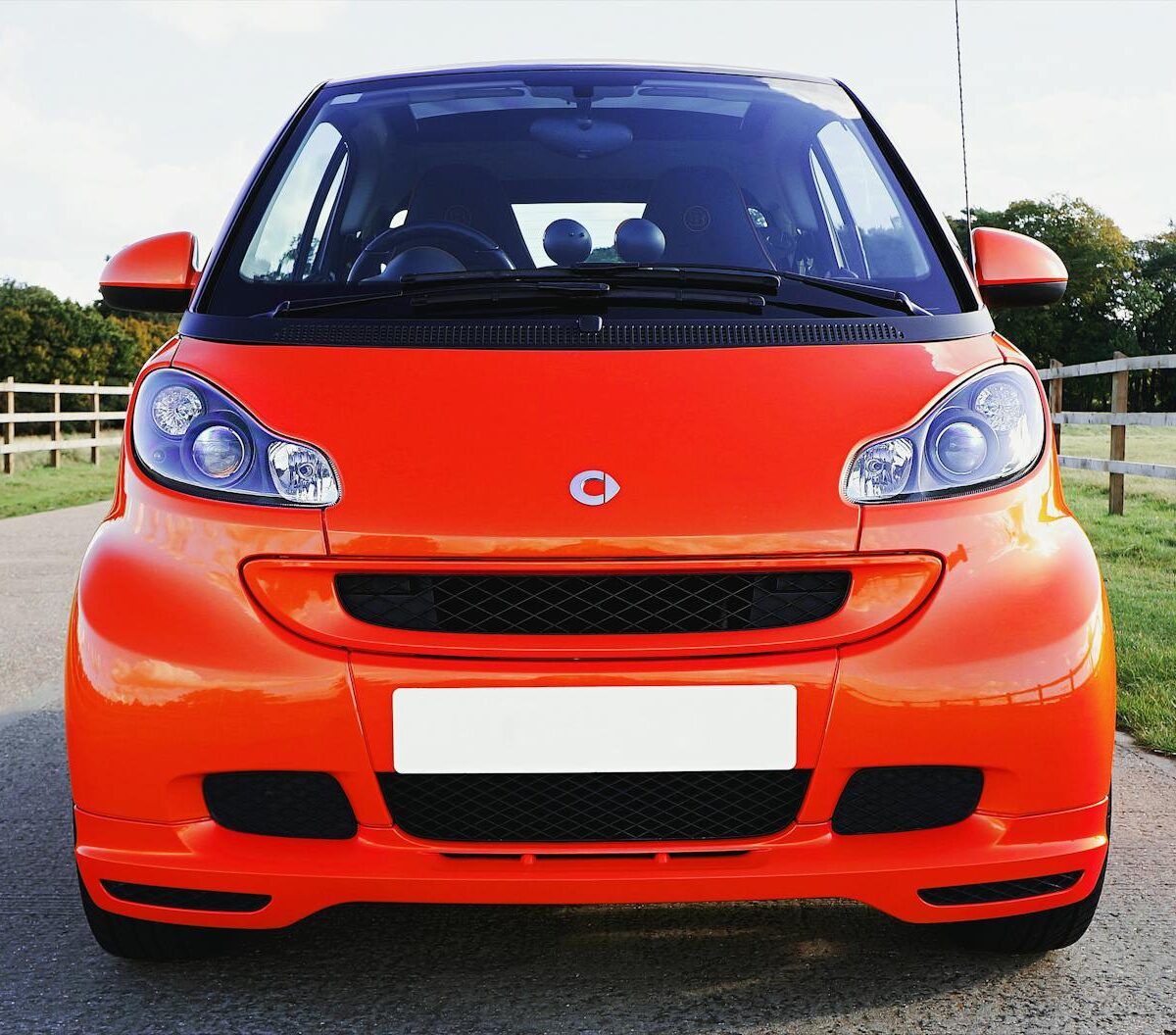 Para saber as Raças Mais Inteligentes do Mundo: O ranking atualizado de 2026, é crucial entender que a inteligência canina é