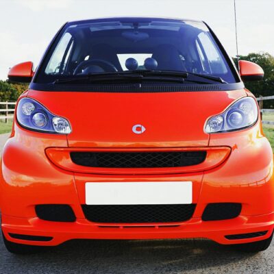 Para saber as Raças Mais Inteligentes do Mundo: O ranking atualizado de 2026, é crucial entender que a inteligência canina é