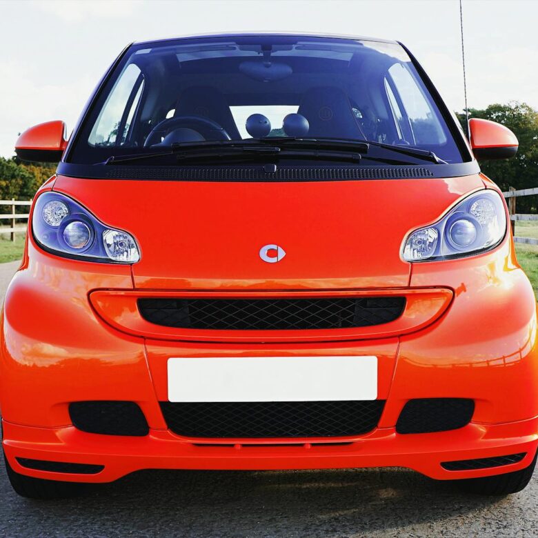 Para saber as Raças Mais Inteligentes do Mundo: O ranking atualizado de 2026, é crucial entender que a inteligência canina é