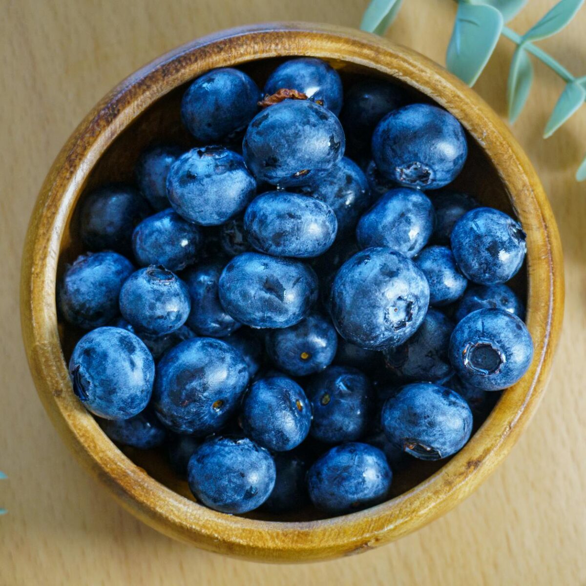 Para Rações Premium vs. Super Premium, a diferença de preço se justifica principalmente pela qualidade e digestibilidade dos