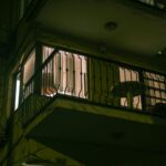 Para garantir a segurança de gatos em apartamentos, as redes de proteção são um item absolutamente indispensável. Elas previn