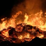 Para identificar os sinais de hipertermia e saber o que fazer quando o cão superaquece durante o passeio, observe respiração