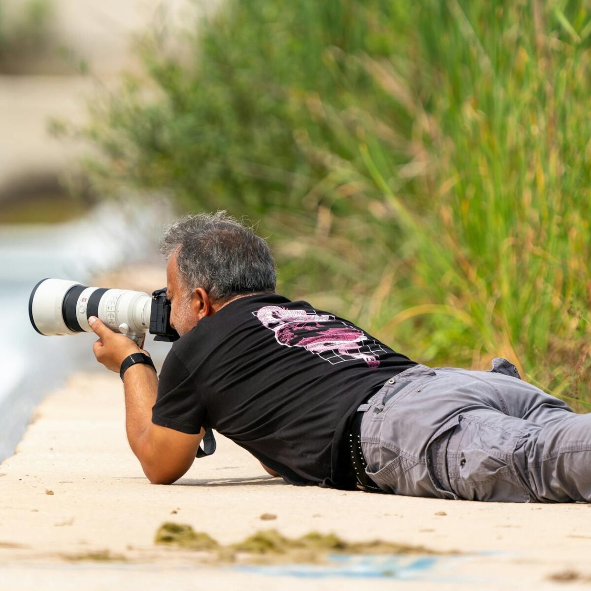 Para a terapia com CBD para pets, a ciência aponta para um potencial promissor no tratamento de condições como dor crônica, a