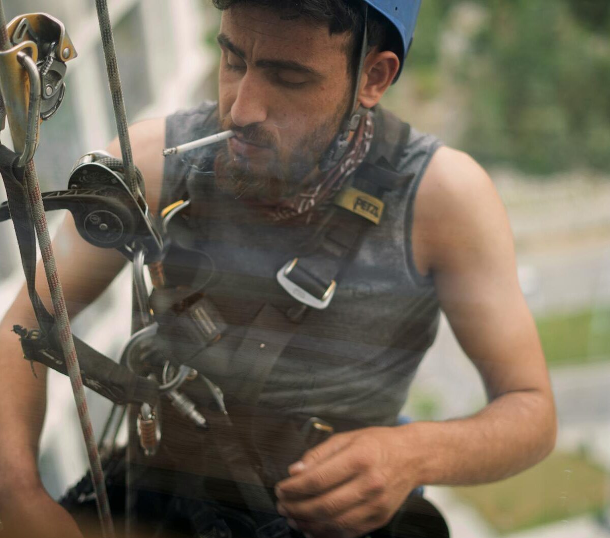 Para transportar pets no carro com segurança e em conformidade com a lei, é fundamental conhecer as regras do Código de Trâns