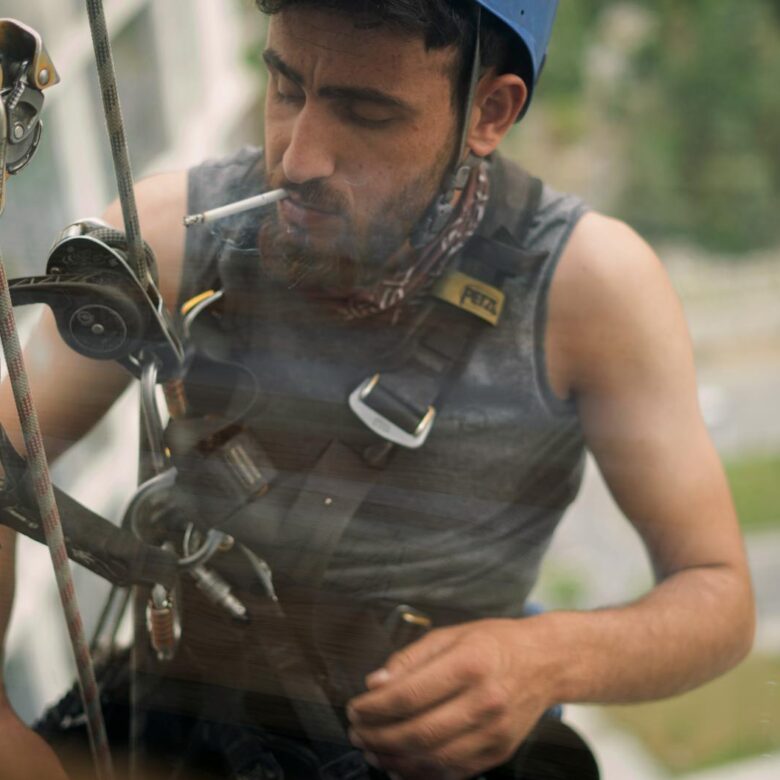 Para transportar pets no carro com segurança e em conformidade com a lei, é fundamental conhecer as regras do Código de Trâns