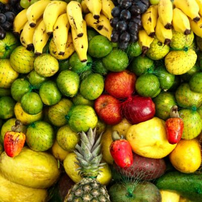 Perigo à Vista: Alimentos Proibidos para Cães e Gatos que Você Precisa Conhecer — alimentos proibidos para cães e gatos | Aum