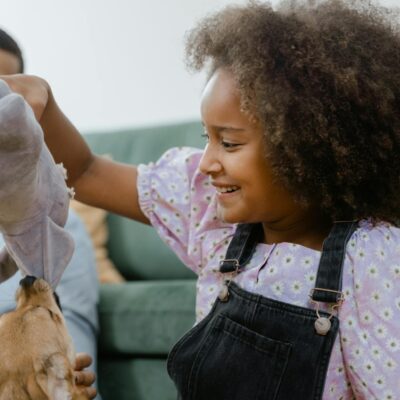 Guia Definitivo: Como Socializar Filhote de Gato com Crianças para uma Convivência Harmoniosa e Segura — como socializar filh