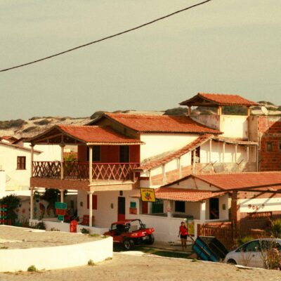 Cheiro de Gato na Casa? Guia Definitivo para Eliminar o Odor e Manter Seu Lar Fresco! — gato deixa casa com cheiro ruim como