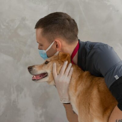 Gato Respirando com Dificuldade: Guia Completo e Urgente para Proteger Seu Pet — gato respirando com dificuldade o que fazer