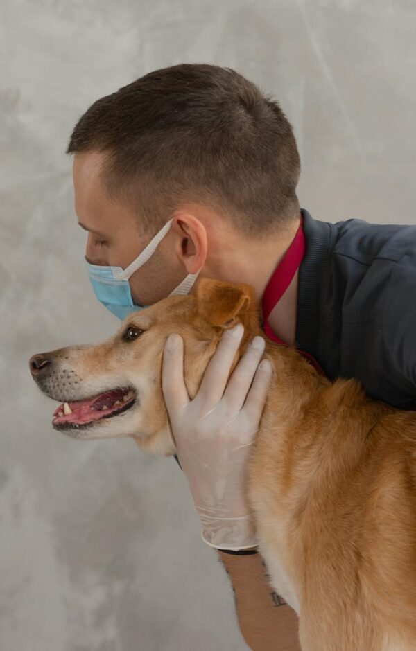 Gato Respirando com Dificuldade: Guia Completo e Urgente para Proteger Seu Pet — gato respirando com dificuldade o que fazer
