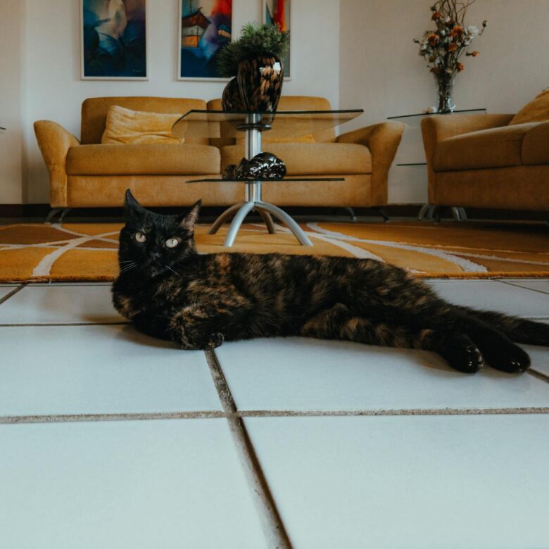 Como Convencer o Síndico: Guia Definitivo para Tornar Seu Apartamento Pet Friendly — pet friendly apartamentos como convencer