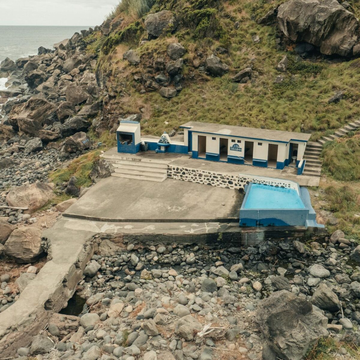 Petisco Natural para Gato: O Guia Definitivo para Fazer Receitas Caseiras Saudáveis e Deliciosas — petisco natural para gato