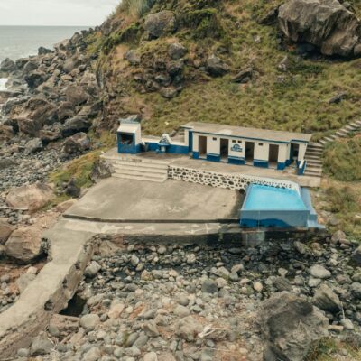 Petisco Natural para Gato: O Guia Definitivo para Fazer Receitas Caseiras Saudáveis e Deliciosas — petisco natural para gato