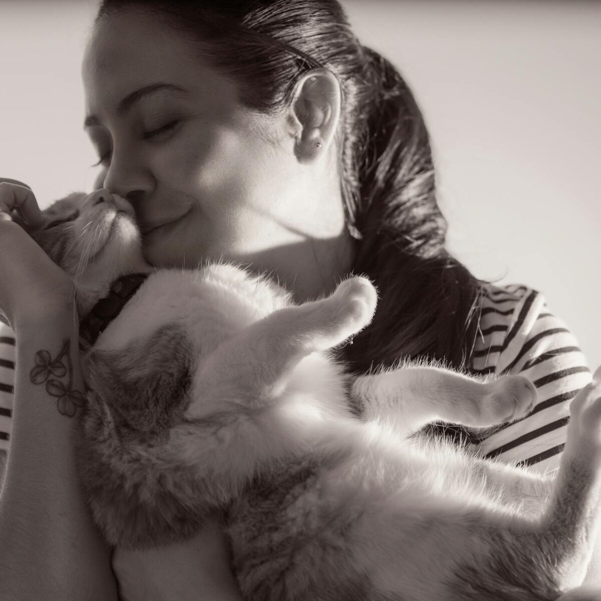 Decifrando o Comportamento Felino: Por Que Gatos Colocam o Traseiro na Sua Cara? — por que gatos colocam o traseiro na cara d