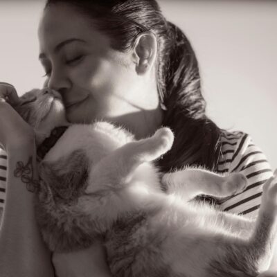 Decifrando o Comportamento Felino: Por Que Gatos Colocam o Traseiro na Sua Cara? — por que gatos colocam o traseiro na cara d