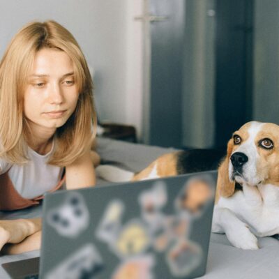 Melhor Loja Pet Online com Entrega Rápida: Como Escolher Sem Cair em Cilada
